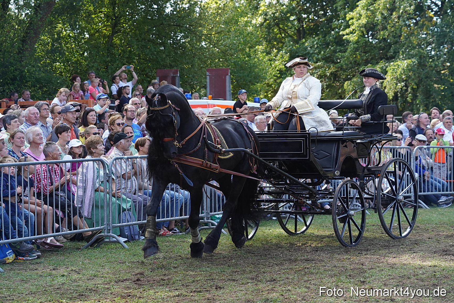 Pferde und Fohlenschau 2022 0202 
